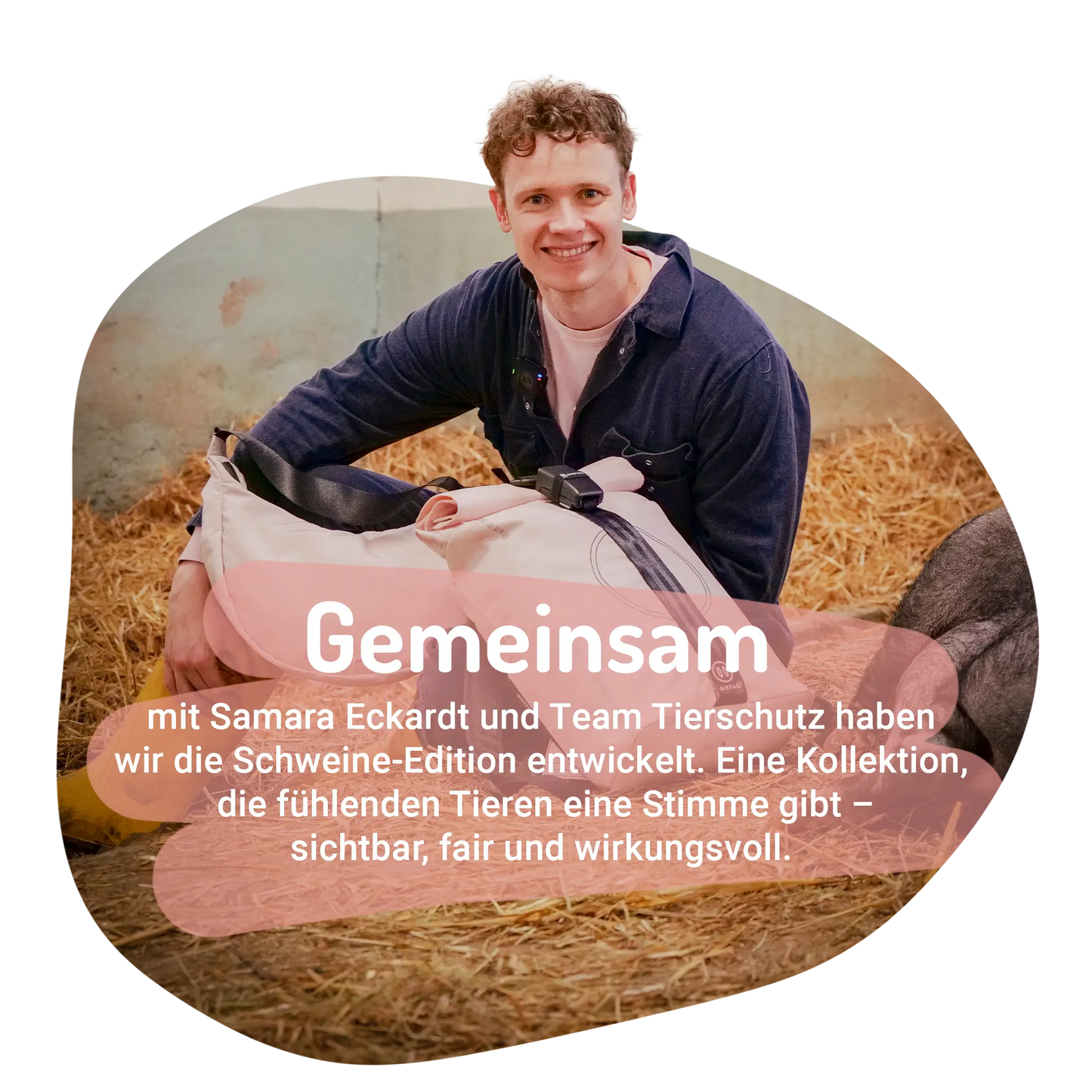 Schweine-Moonbaq Mini