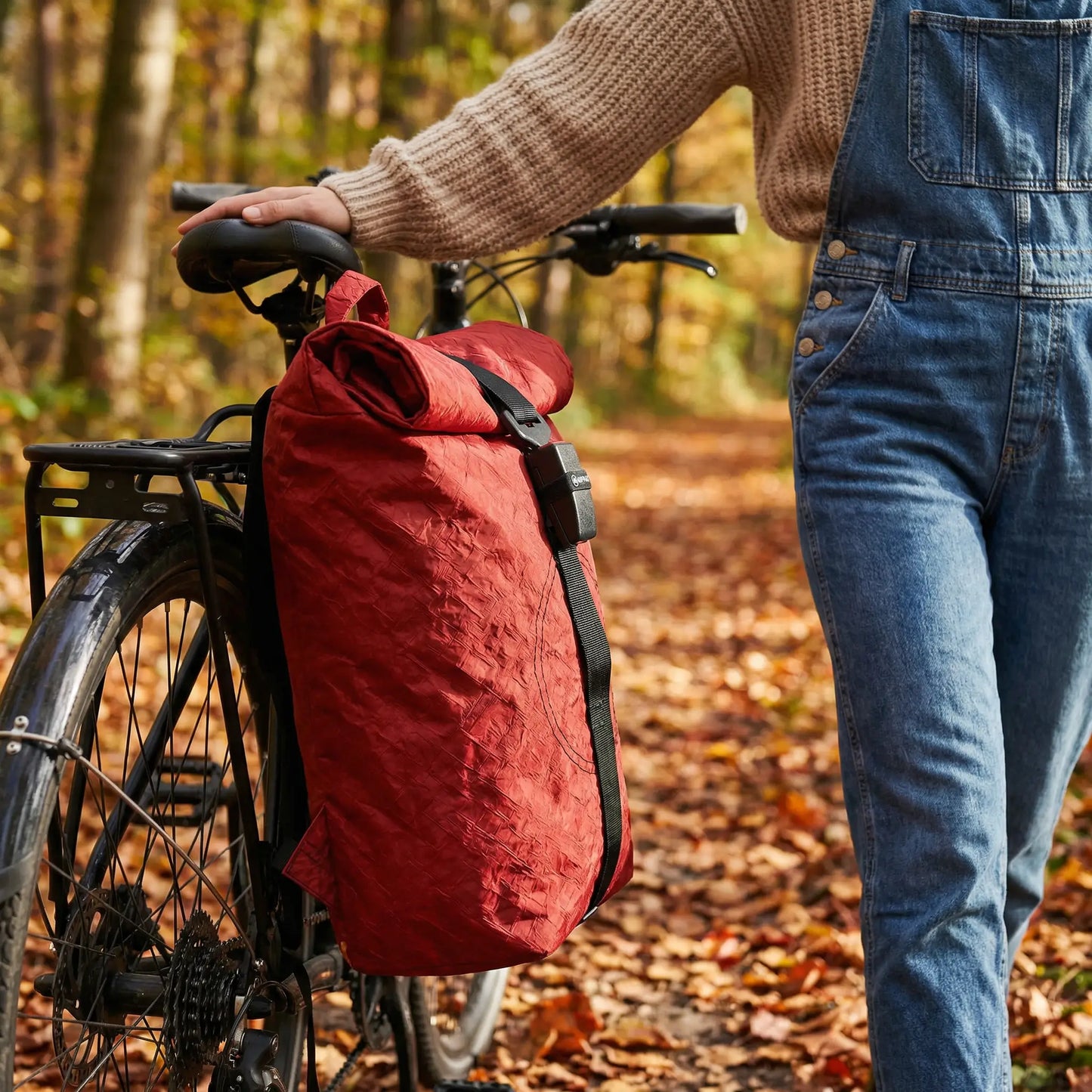 Rolltop + Fahrradhaken