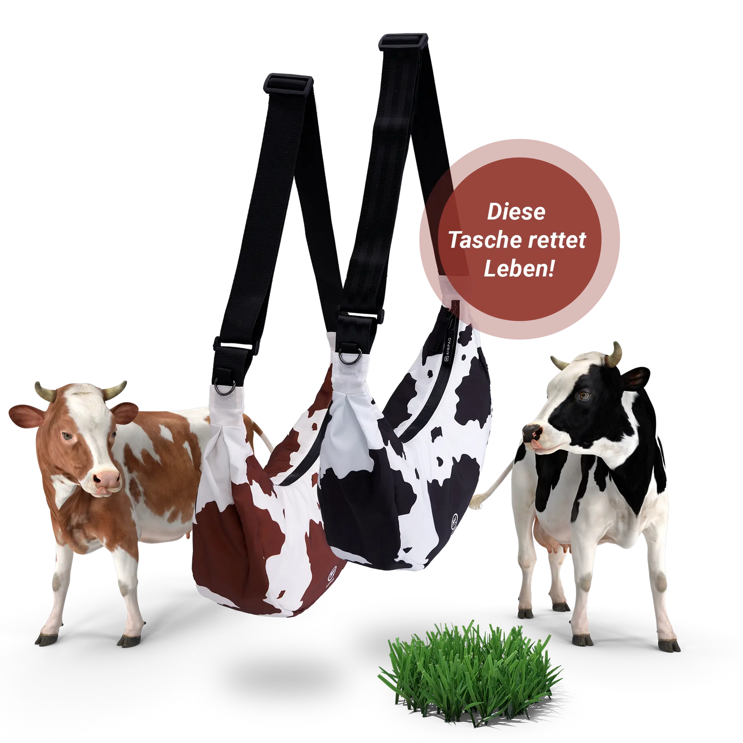 Moo Baq