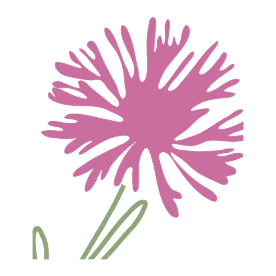 Wiesen-Flockenblume, Stickmotiv der Robinga-Edition